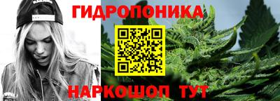 шишки Гатчина
