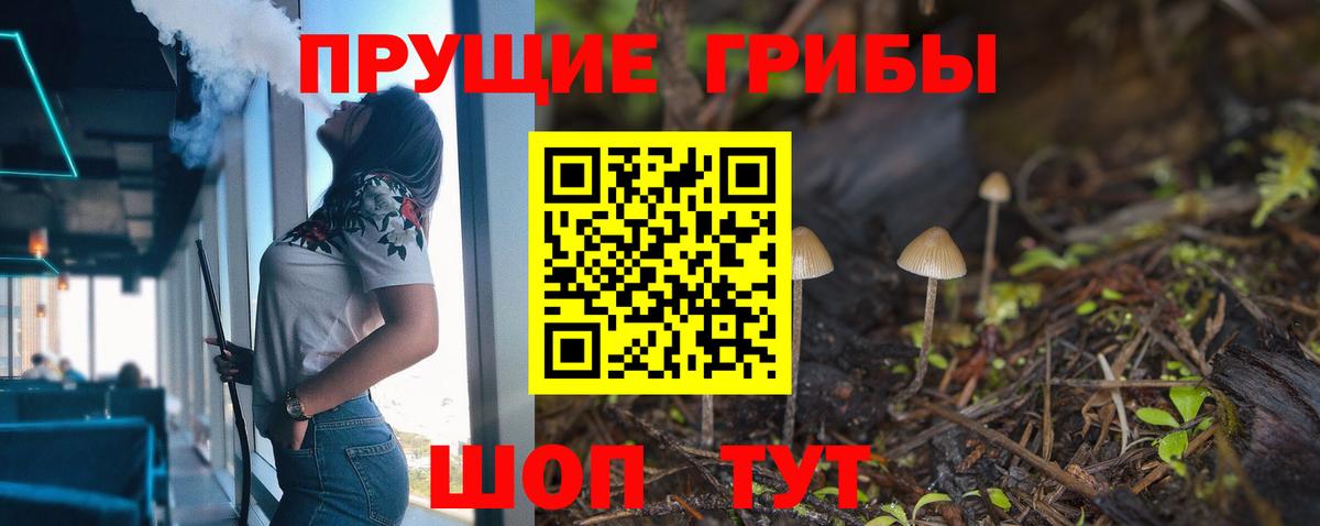 Кириши  Галлюциногенные грибы MAGIC MUSHROOMS  купить наркотик  Вход с VPN 
