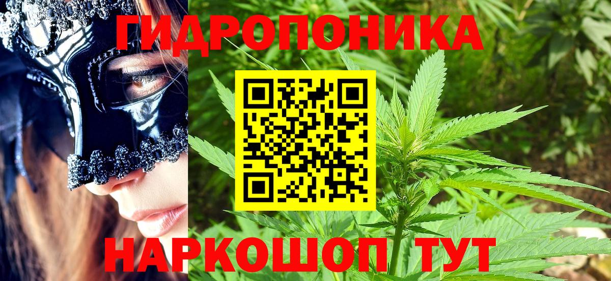 Бошки марихуана тримм  МАРИХУАНА OG Kush  Кириши  Канабис план  Вход с VPN 